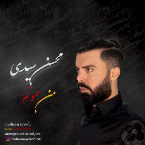 آهنگ محسن سیدی دوباره